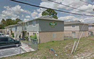 La Tierra Verde