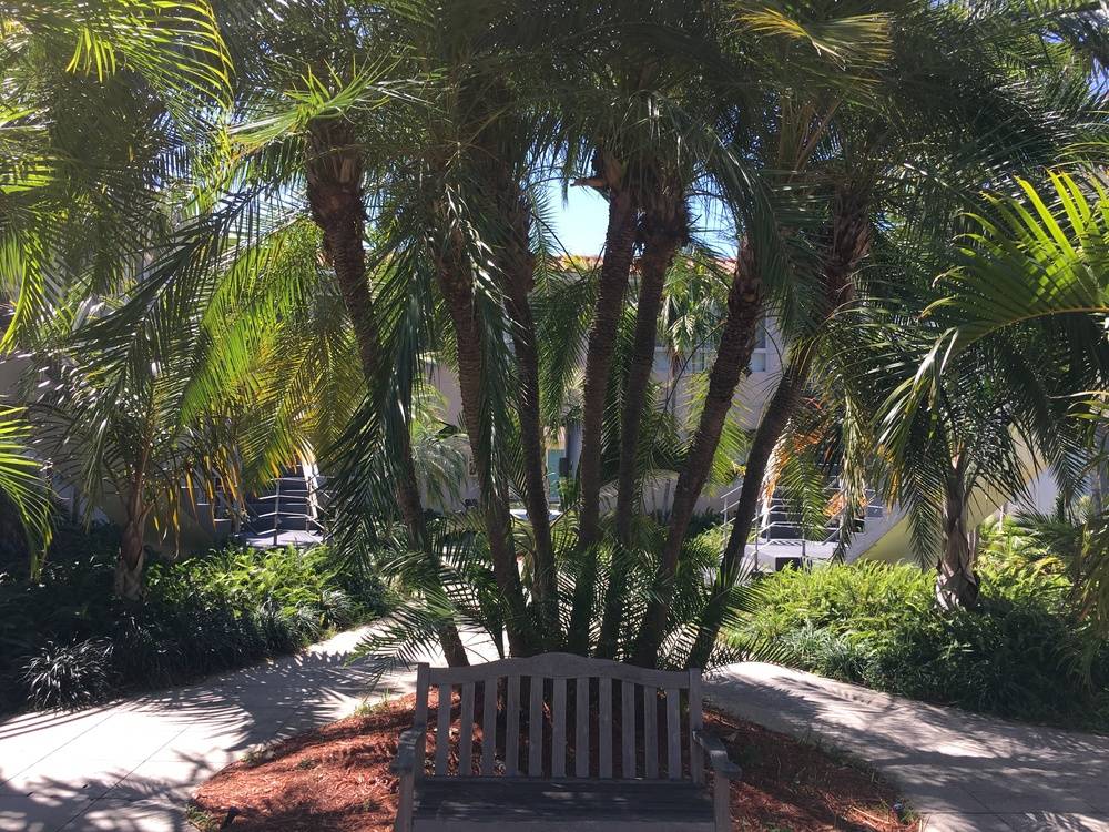 Victoria Breezes, photo 14
