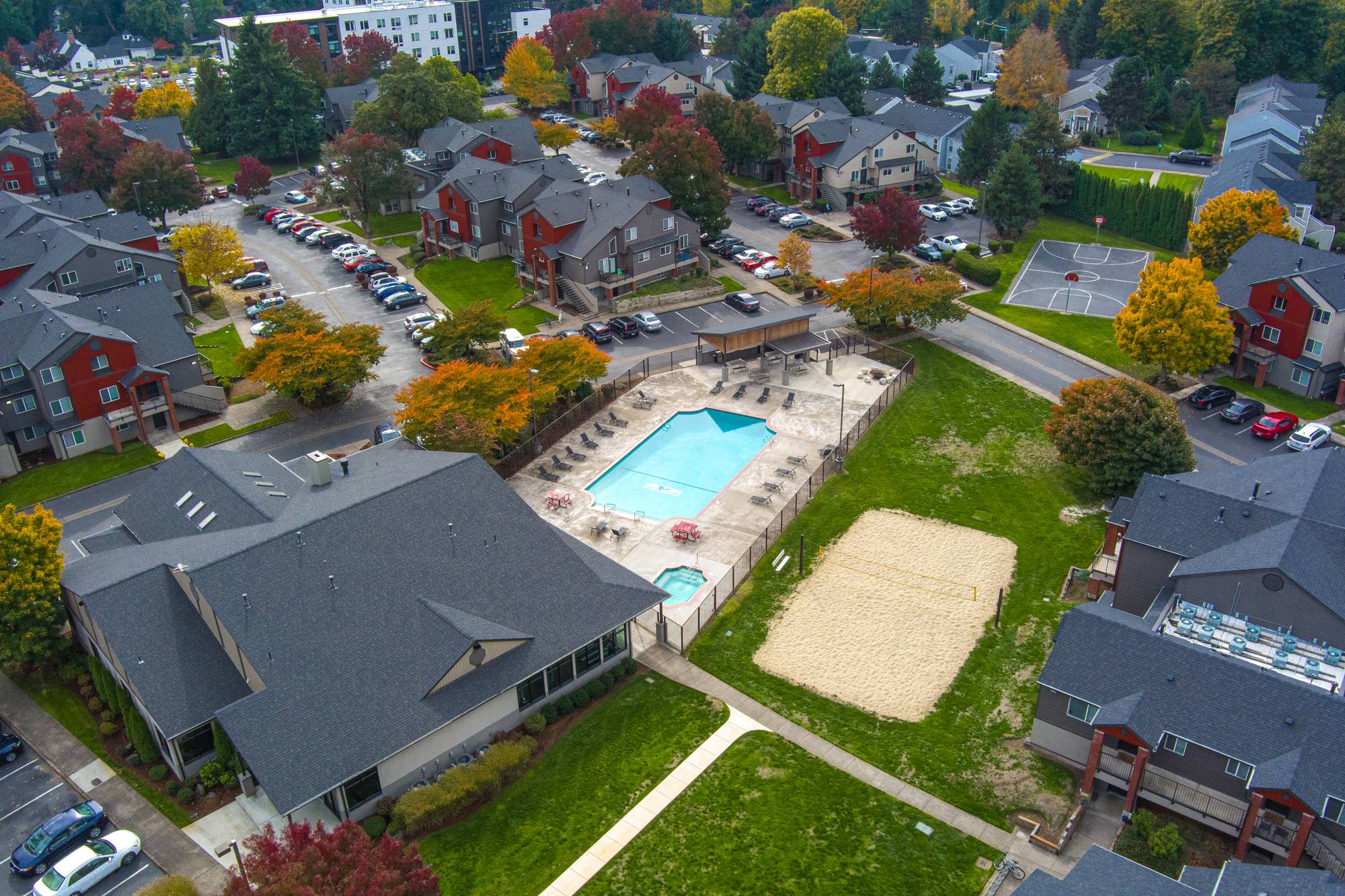 Ducks Village, photo 4