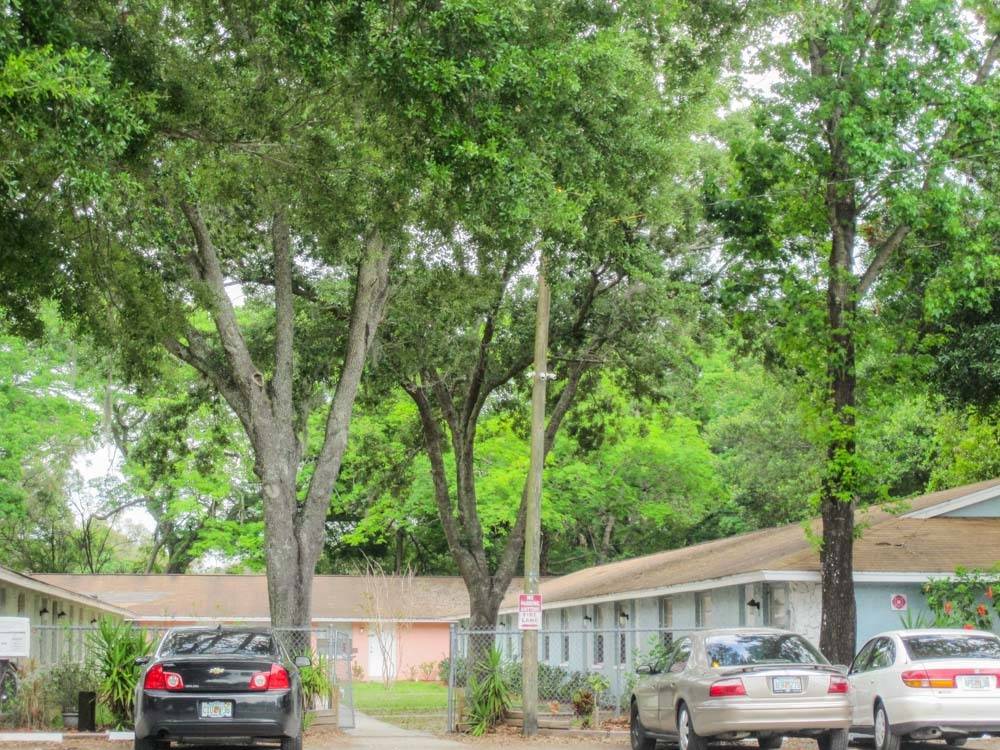 Oak Gardens, photo 17