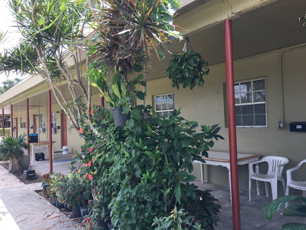 Royal Palm Apartments, photo 8