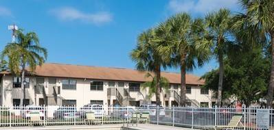 Wild Pines of Naples