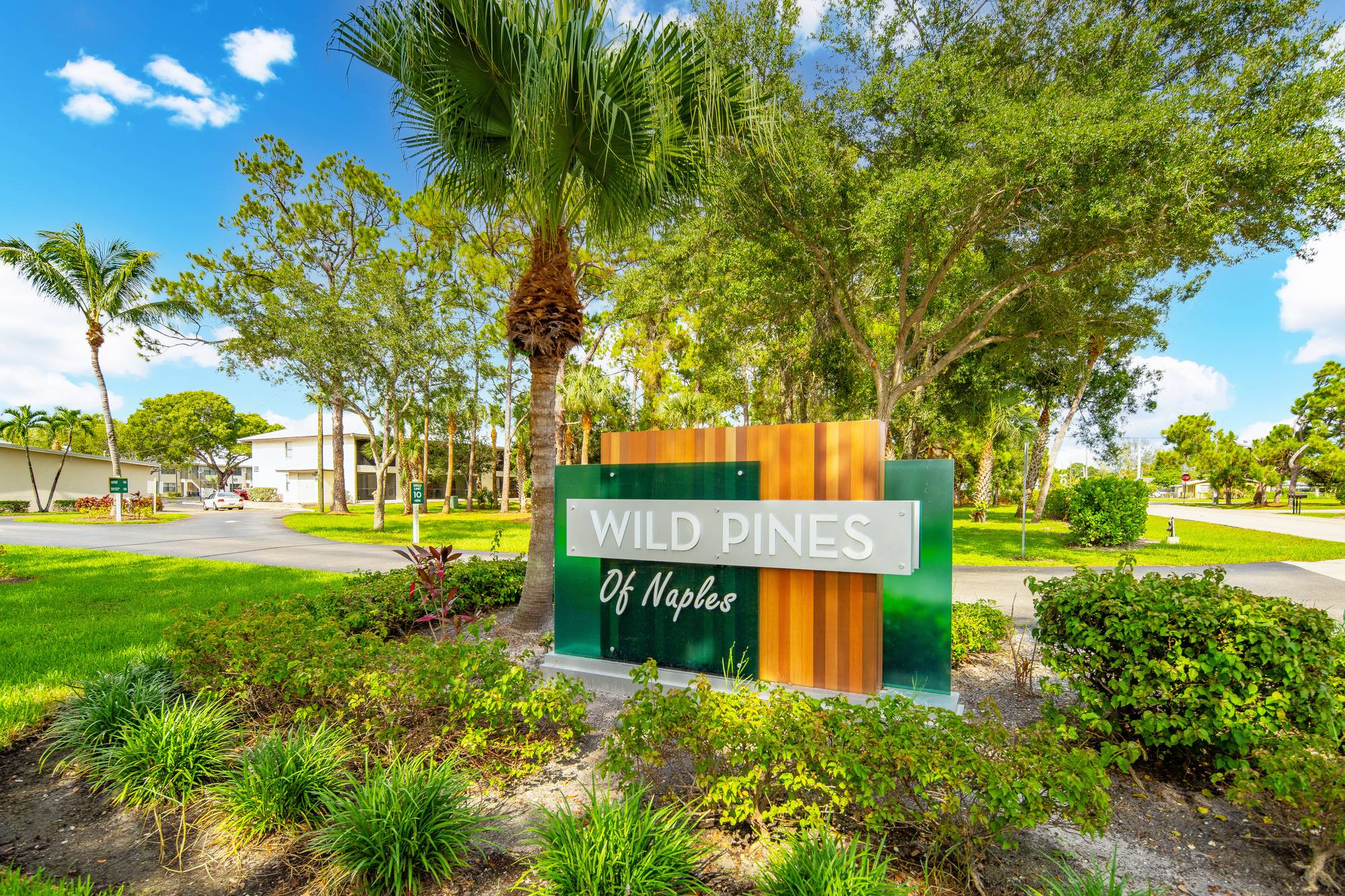 Wild Pines of Naples