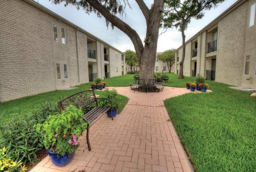 Campus Palms