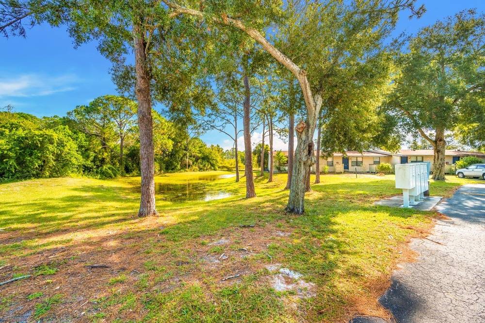 Space Coast Cardinal Portfolio, photo 9
