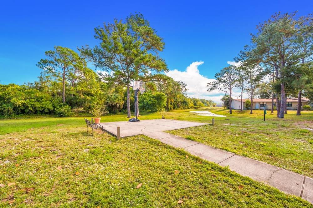 Space Coast Cardinal Portfolio, photo 10