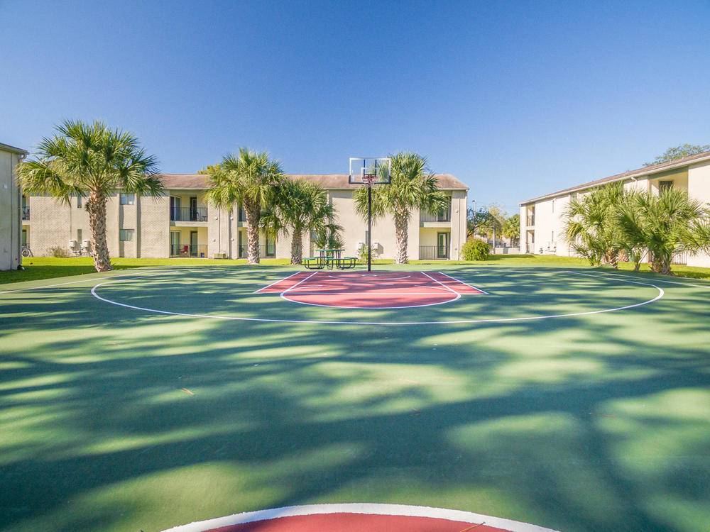 Campus Palms, photo 6