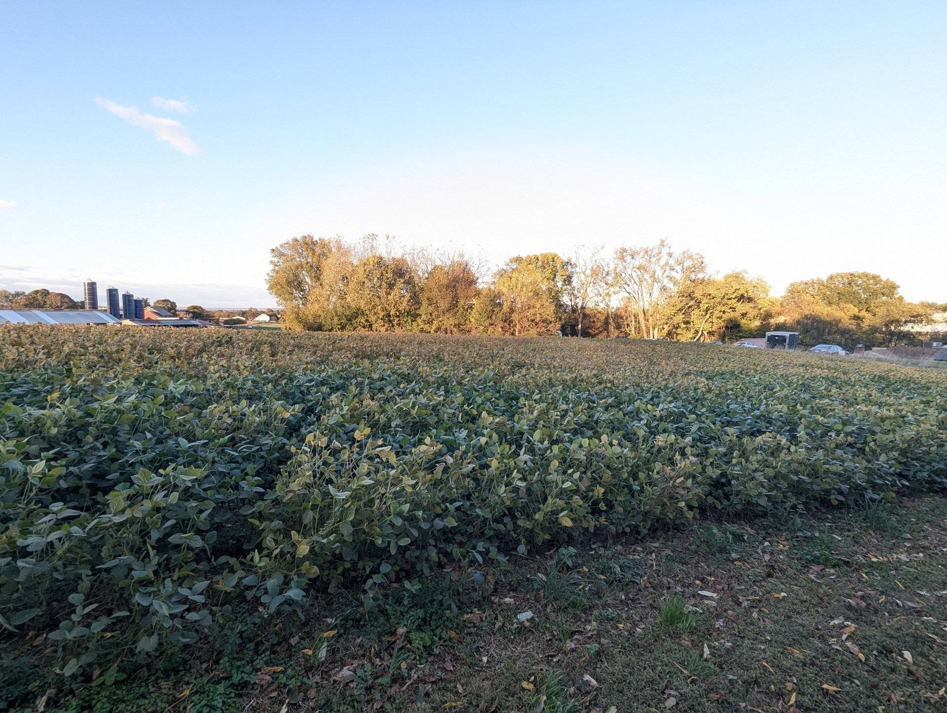 Marietta Ave Development Parcel, photo 8
