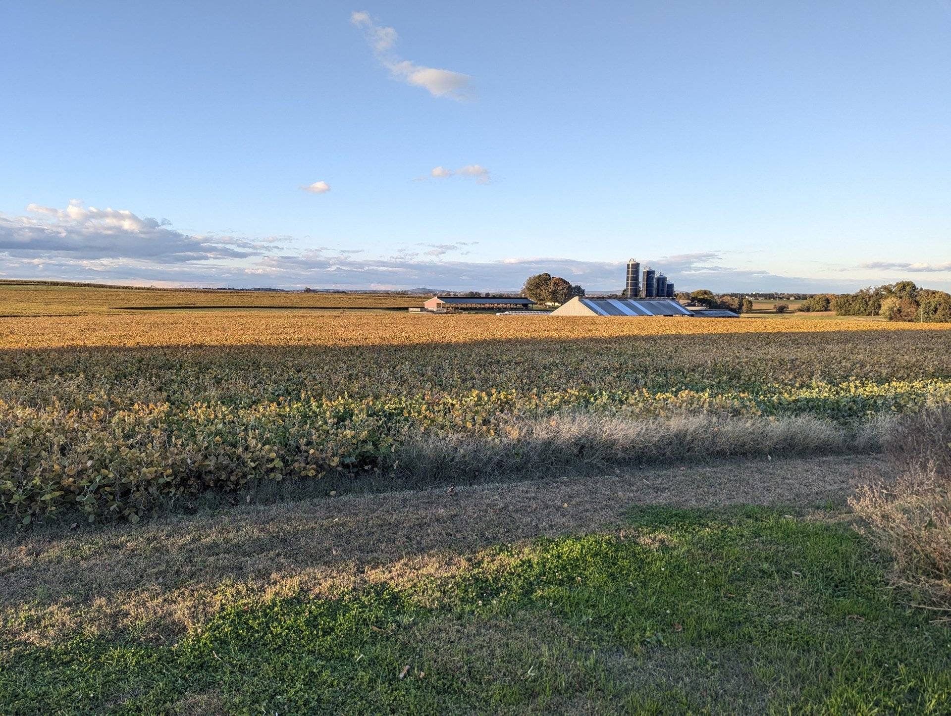 Marietta Ave Development Parcel, photo 6