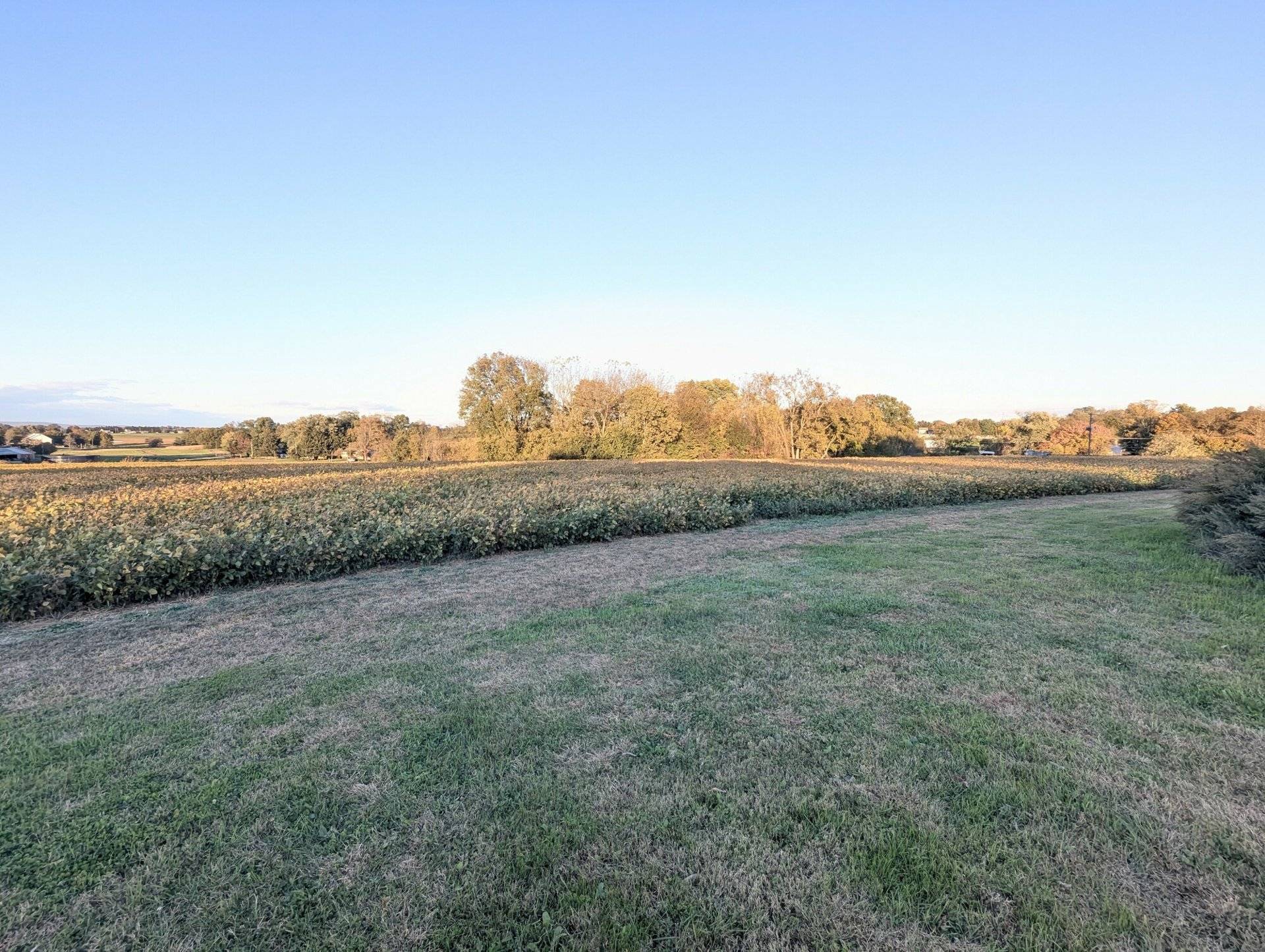 Marietta Ave Development Parcel, photo 7