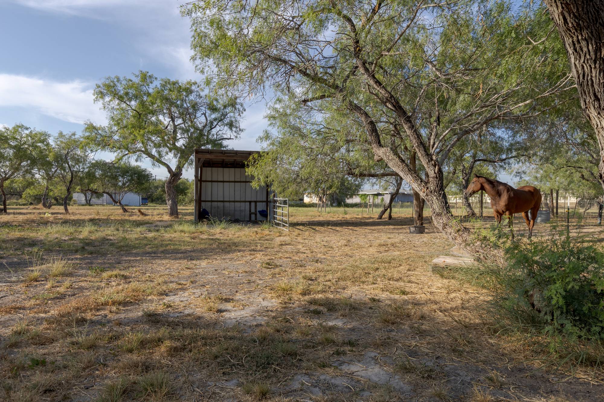 Mesquite Haven RV Park, photo 8
