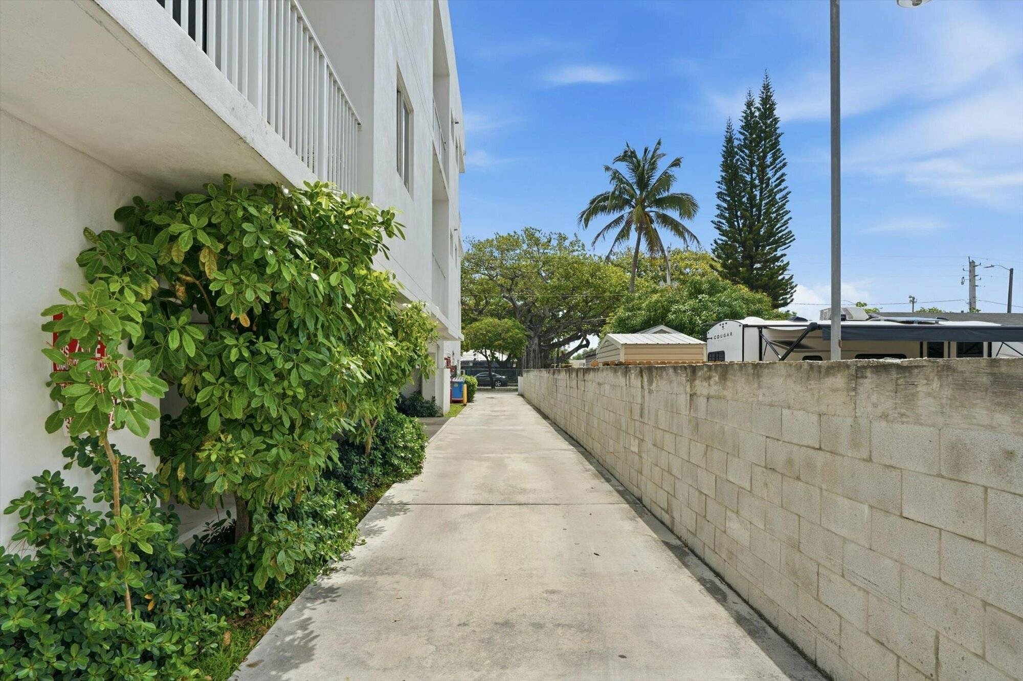 Sago Palms, photo 38