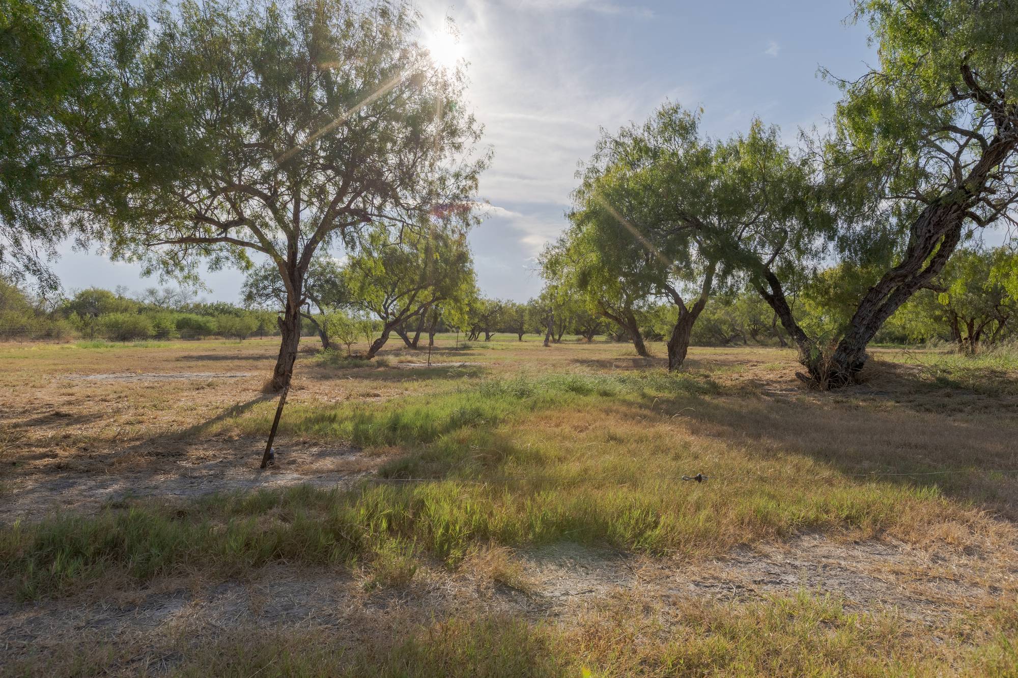 Mesquite Haven RV Park, photo 13