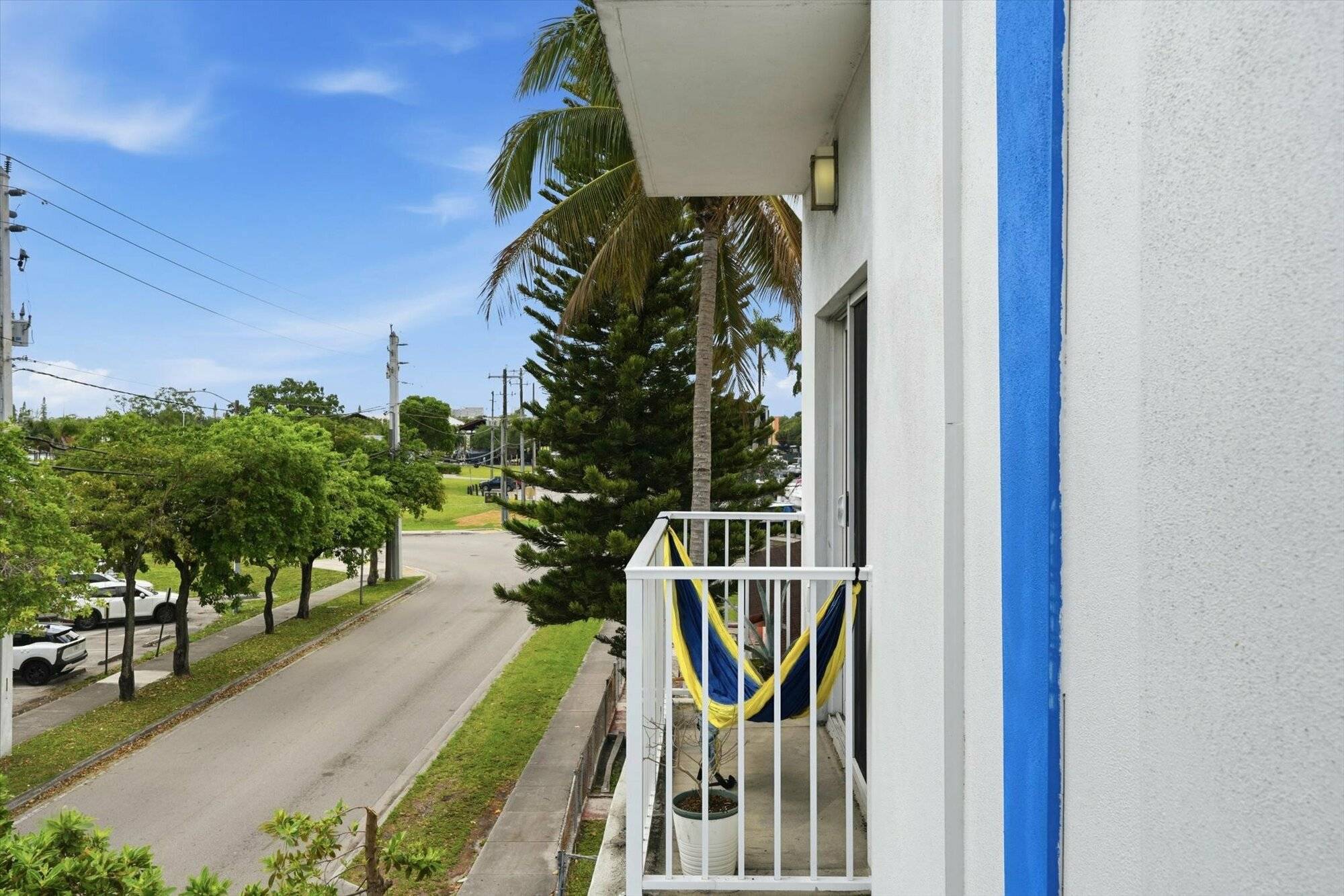 Sago Palms, photo 26