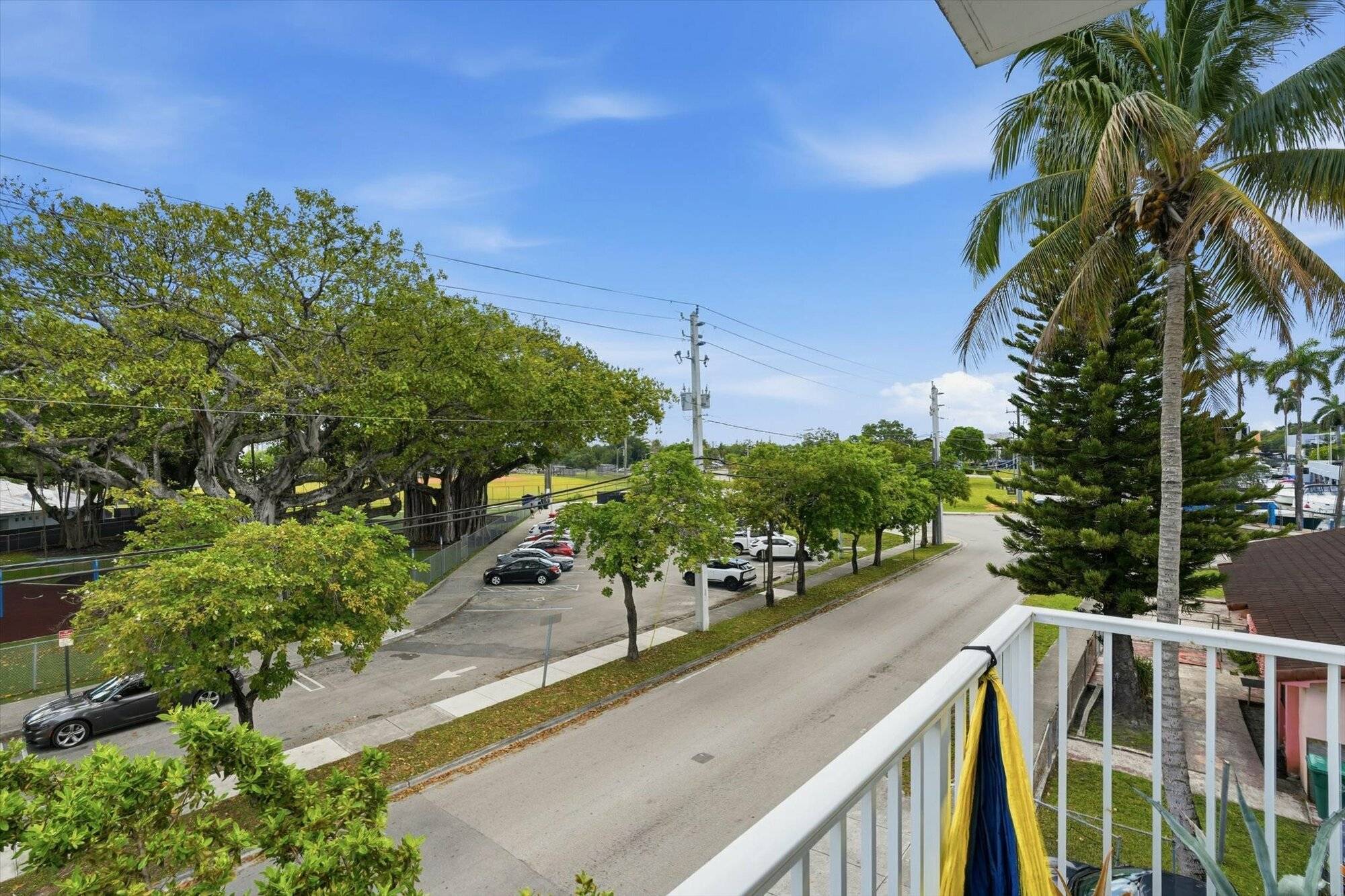 Sago Palms, photo 28